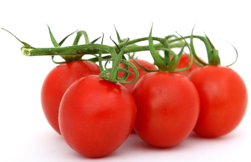 Latin Cuisine
